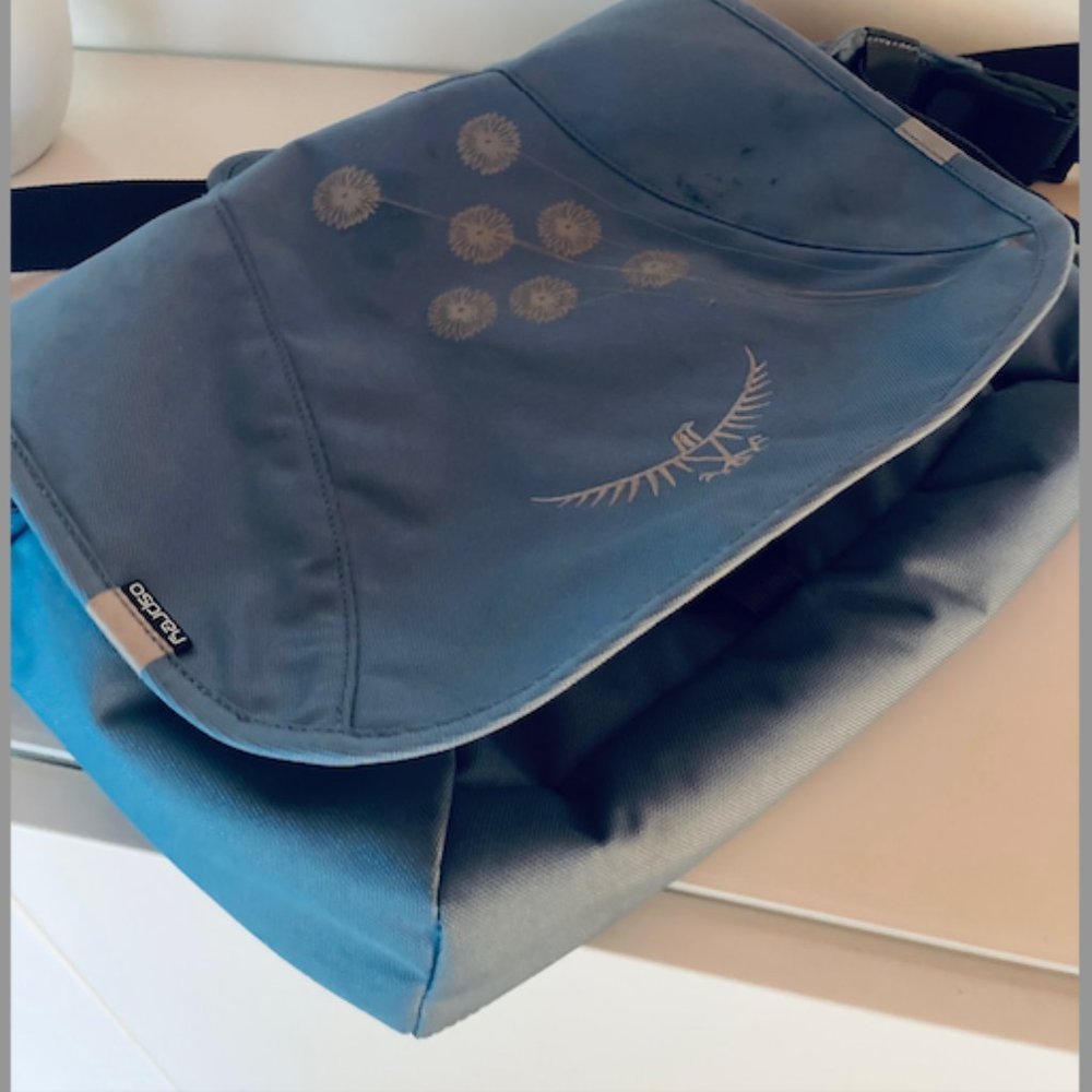 Osprey Flap Jill Mini Crossbody Messenger Bag (Blue)